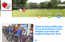vivirsano.jpg