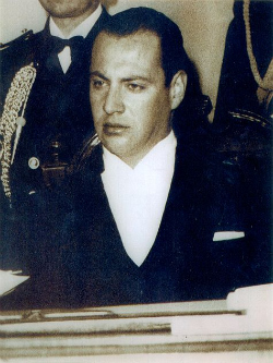 Raúl Hernán Morales Adriasola
