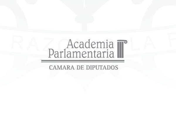 Logo Academia Parlametaria