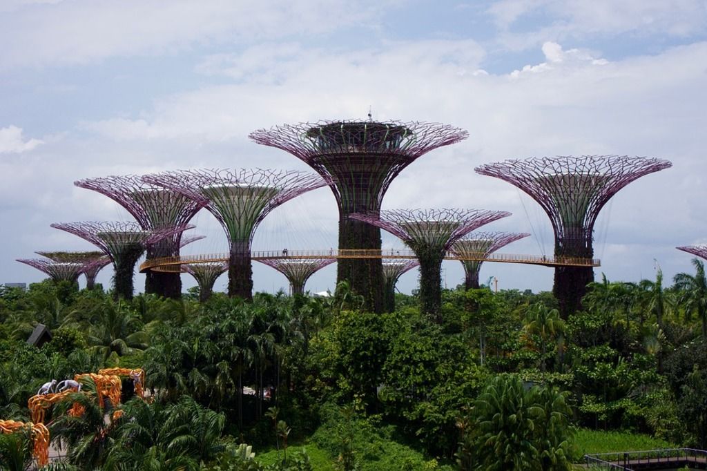 Imagen de la nota El Plan Verde de Singapur para potenciar la vegetación y la biodiversidad en la ciudad