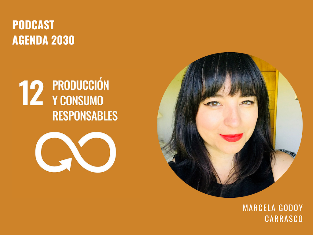 Imagen de la nota Agenda 2030 ODS 12: Marcela Godoy Carrasco analiza el camino de Chile a la producción y consumo sostenible