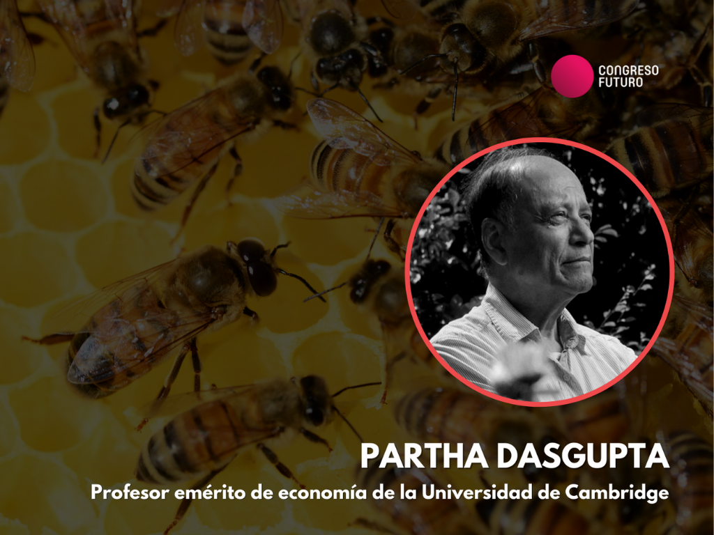 Imagen de la nota Partha Dasupta: “La economía humana está incrustada en la naturaleza”