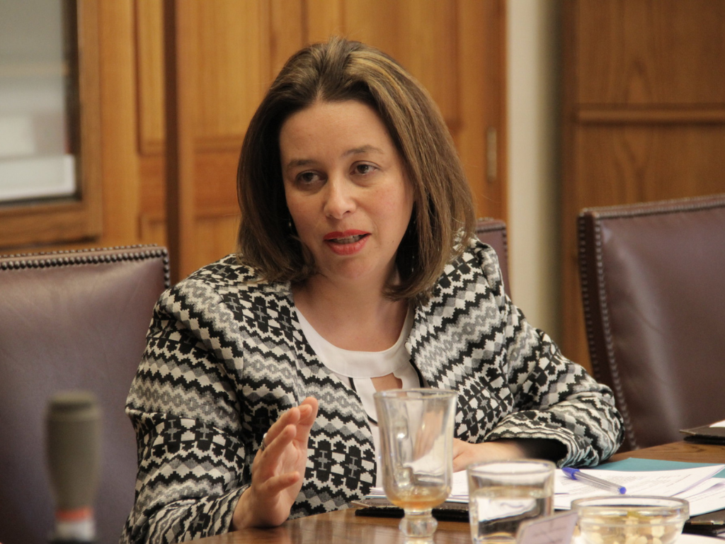 Imagen de la nota Senadora Ximena Órdenes comentó proyecto para incorporar el desarrollo sostenible dentro de las bases de la institucionalidad
