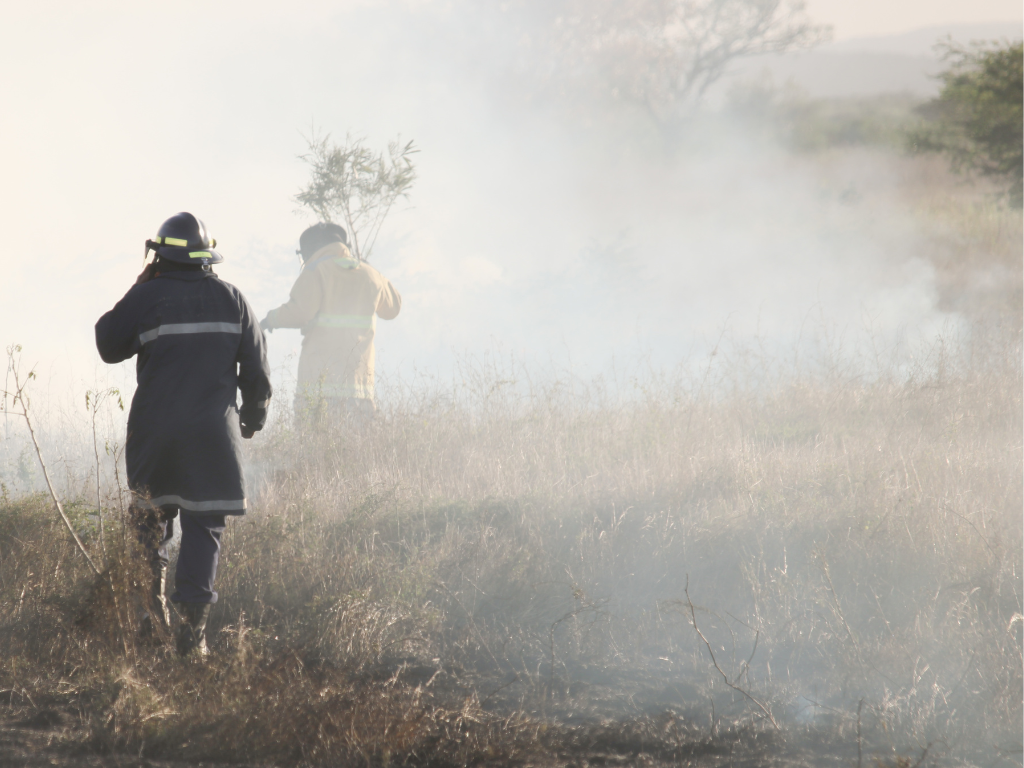 Imagen de la nota Las medidas impulsadas por Australia para prevenir incendios forestales
