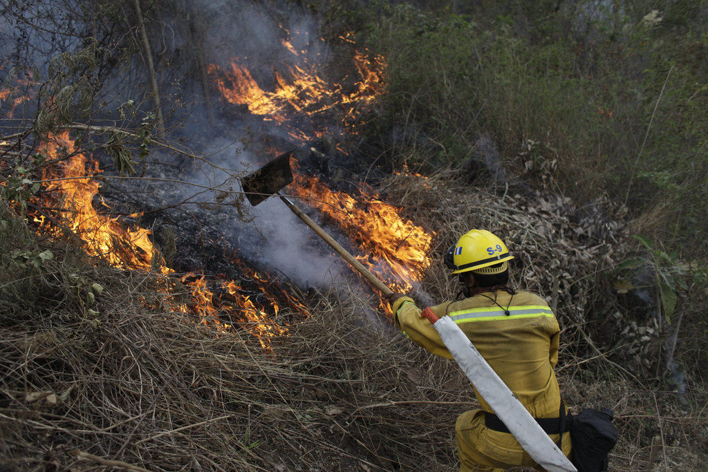 Diputada Mercedes Bulnes comentó medidas para la prevención de incendios forestales