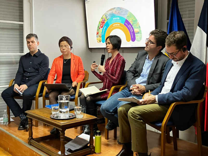 Panel discutió sobre China y la transición ecológica en América Latina