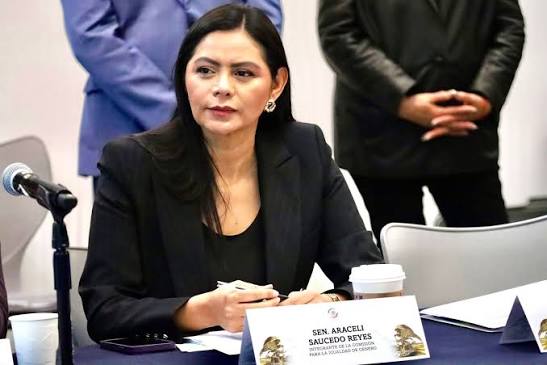 Senadora Araceli Saucedo Reyes