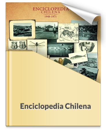 Obra de recuperación histórica que compila el trabajo desarrollado por diversos investigadores en el campo de la ciencia entre 1948 y 1971, y que es considerado como uno de los proyectos editoriales más ambiciosos de la historia de nuestro país. Incluye lustraciones, fotografías, mapas, artículos por mencionar algo.