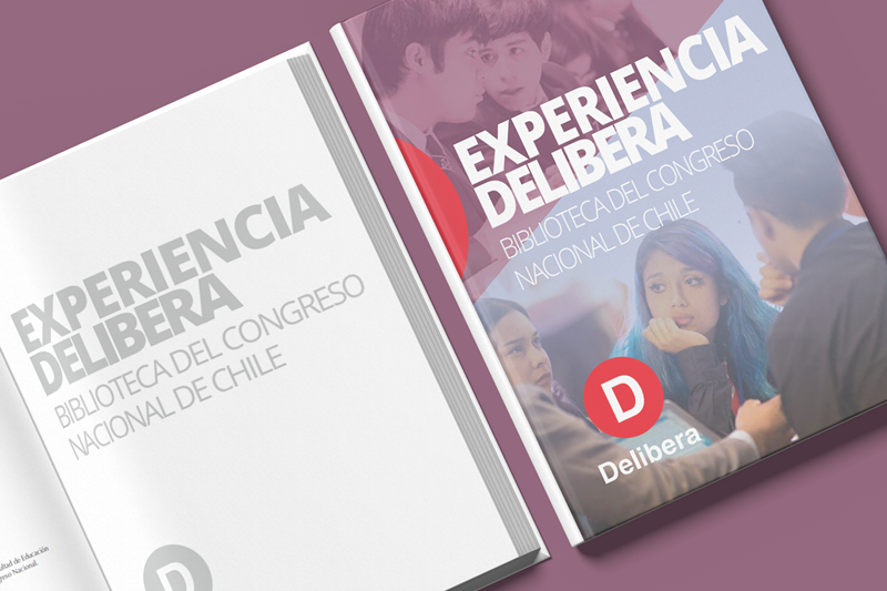 imagen: Esxperiencia Delibera