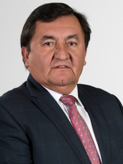 Mario Venegas Cárdenas.jpg