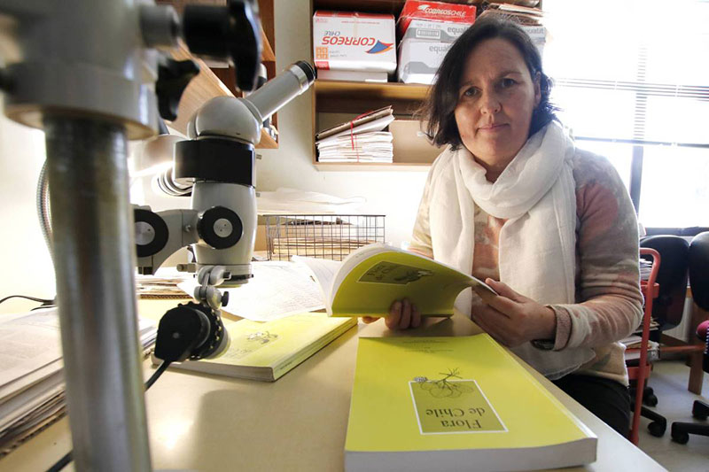 Imagen de Alicia  Marticorena Garri