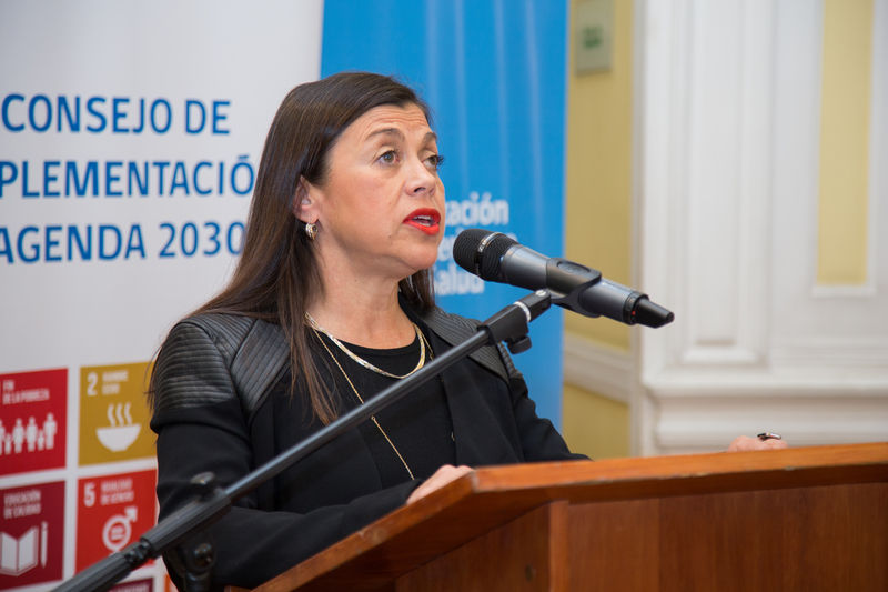 María Soledad Cisternas, Enviada Especial de Accesibilidad y Discapacidad de Naciones Unidas
