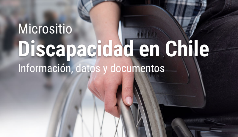 Micrositio Discapacidad en Chile