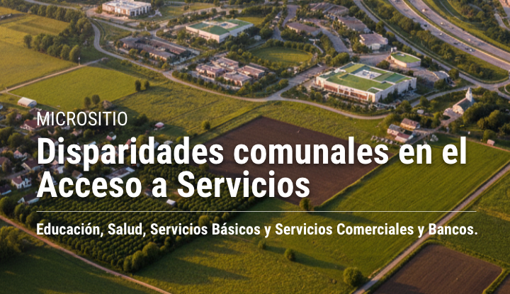 Micrositio Disparidades comunales en el Acceso a Servicios