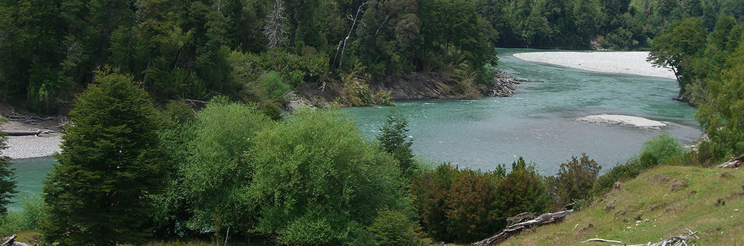 Imagen del Río Palena
